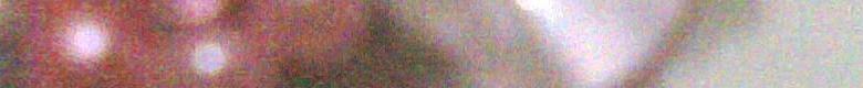 Banner Toko Online ifakaylashop